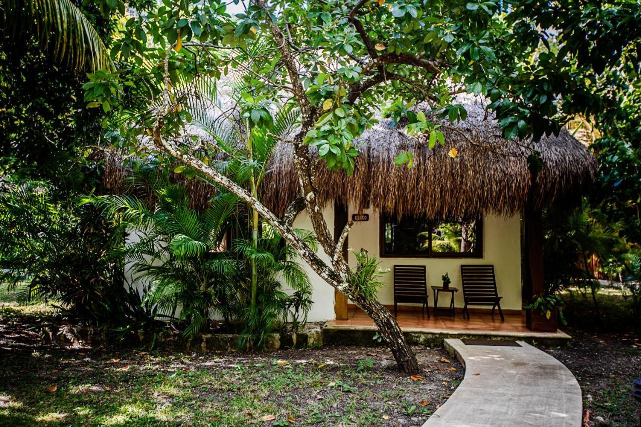 Hotel Rancho Encantado Bacalar Zewnętrze zdjęcie