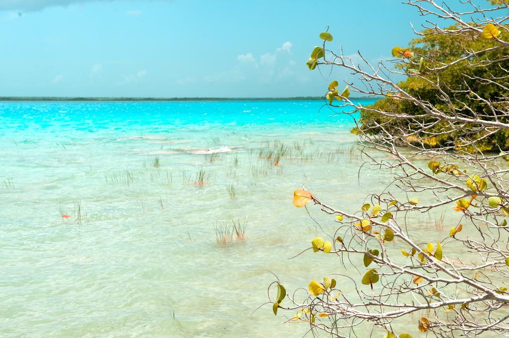 Hotel Rancho Encantado Bacalar Zewnętrze zdjęcie